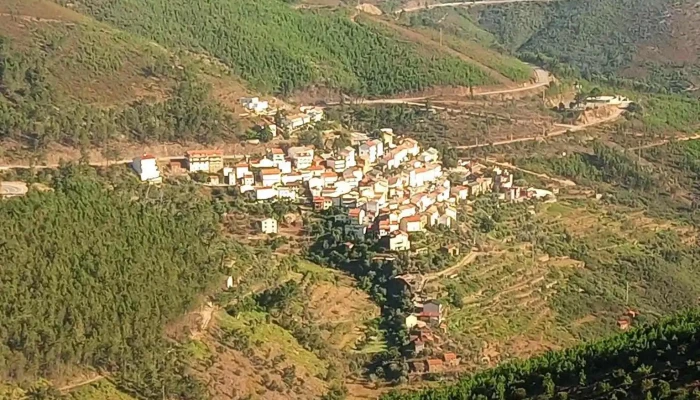 Teixeira -  Tudo - Portugal