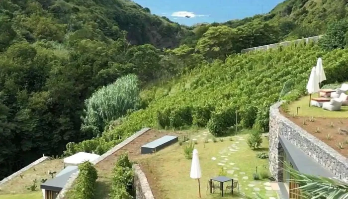 Terrabona Nature Vineyards   Wine Country Wellness Retreat Do Proprietario - Boaventura