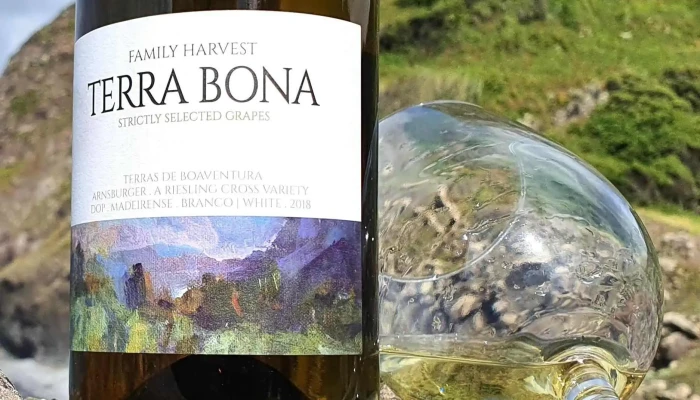 Terrabona Nature Vineyards   Wine Country Wellness Retreat Gastronomia - Boaventura