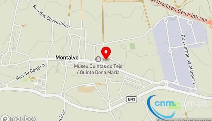 mapa de Transmontalvo - Serviços e Transportes, Lda. Empresa de remessas em R. Dr. José Godinho 66