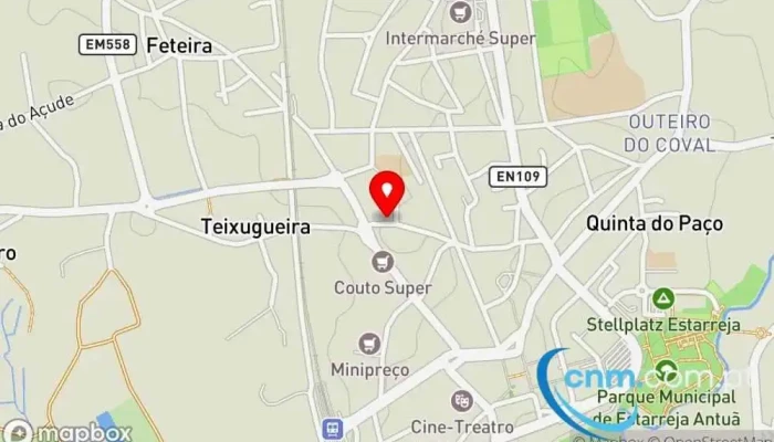 mapa de UPS Access Point Serviço de frete e correio, Serviço de entregas expresso em Estarreja