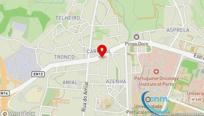 mapa de UPS Access Point Serviço de frete e correio, Serviço de entregas expresso em Porto