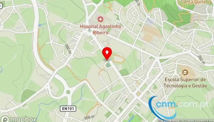 mapa de UPS Access Point Serviço de frete e correio, Serviço de entregas expresso em Felgueiras
