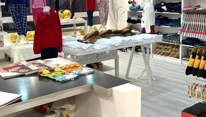 Veste Brilha Do Proprietario - Sertã