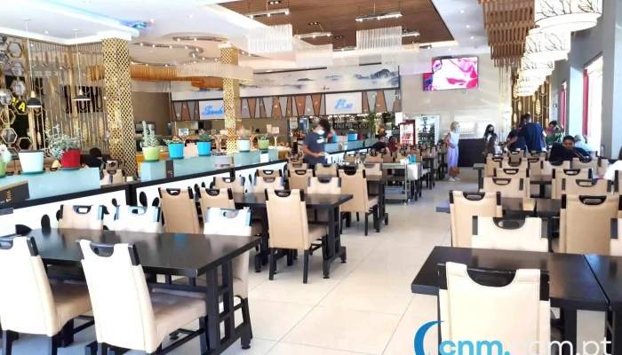 Viva -  Ambiente - Olival Basto