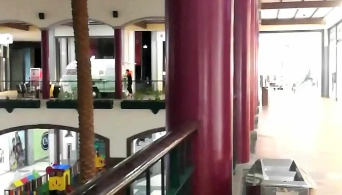 Zara Forum Madeira -  Videos - Funchal
